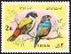 Colnect-1460-714-Swee-Waxbill-Estrilda-melanotis-Red-cheeked-Cordon-bleu.jpg