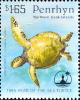 Colnect-3947-391-Green-Sea-Turtle-Chelonia-mydas.jpg