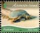 Colnect-4524-825-Green-Sea-Turtle-Chelonia-mydas.jpg