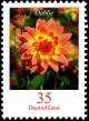 Colnect-5199-122-Dahlia-variabilis---Dahlia.jpg