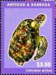 Colnect-5942-835-Green-Sea-Turtle-Chelonia-mydas.jpg