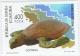 Colnect-761-722-Green-Sea-Turtle-Chelonia-mydas.jpg