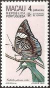 Colnect-1456-114-White-edged-Blue-Baron-Euthalia-phemius-ssp-seitzi.jpg