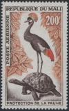 Colnect-2144-409-Black-Crowned-Crane-Balearica-pavonina-Turtle-Testudinid.jpg