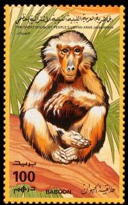 Colnect-4735-002-Baboon-Papio-sp.jpg