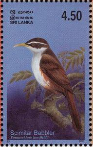 Colnect-2543-512-Indian-Scimitar-Babbler-Pomatorhinus-horsfieldii.jpg