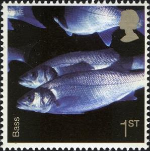 Colnect-450-217-European-Seabass-Dicentrarchus-labrax-.jpg