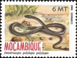 Colnect-1117-095-Black-Mamba-Dendroaspis-polylepis.jpg