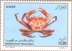 Colnect-2034-075-Crab-Bathynectes-maravigna.jpg