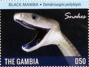 Colnect-3611-871-Black-Mamba-Dendroaspis-polylepis.jpg