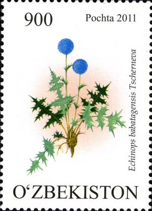 Colnect-856-340-Echinops-babatagensis-Tscherneva.jpg