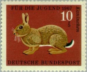 Colnect-152-589-European-Rabbit-Oryctolagus-cuniculus.jpg