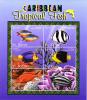 Colnect-3483-386-Caribbean-Tropical-Fish.jpg