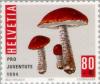 Colnect-141-182-Red%E2%80%93capped-Scraber-Stalk--Leccinum-aurantiacum.jpg