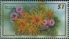 Colnect-2209-623-Orange-Tube-Coral-Tubastrea-aurea.jpg