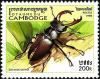 Colnect-2715-823-Stag-Beetle-Lucanus-cervus.jpg