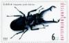 Colnect-418-782-Giraffe-Stag-Beetle-Cladognathus-giraffa.jpg