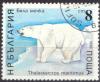 Colnect-598-211-Polar-Bear-Ursus-maritimus.jpg