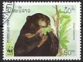 Colnect-1014-744-Sun-Bear-Ursus-malayanus.jpg