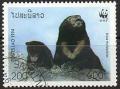 Colnect-1014-746-Sun-Bear-Ursus-malayanus.jpg