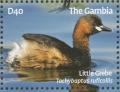 Colnect-1721-820-Little-Grebe-Tachybaptus-ruficollis.jpg