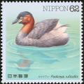 Colnect-608-829-Little-Grebe-achybaptus-ruficollis.jpg