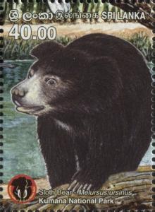 Colnect-5913-588-Sloth-Bear-Melursus-ursinus.jpg