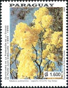 Colnect-5890-035-Tabebuia-pulcherrima.jpg