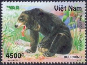 Colnect-1160-409-Sun-Bear-Ursus-malayanus.jpg