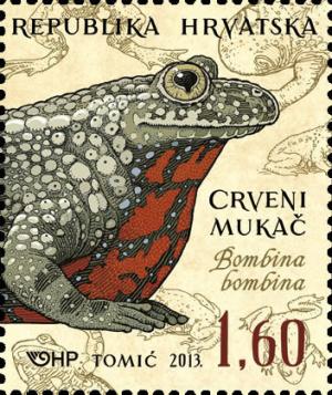 Colnect-1554-500-European-Fire-bellied-Toad-Bombina-bombina-.jpg