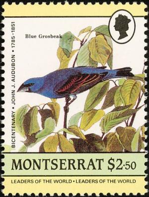 Colnect-1785-022-Blue-Grosbeak%C2%A0Passerina-caeruela.jpg