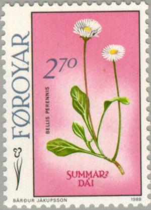 Colnect-189-370-Bellis-perennis.jpg