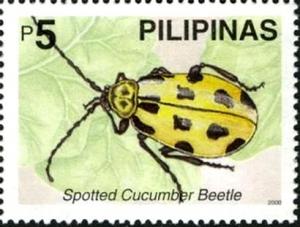 Colnect-2325-303-Spotted-Cucumber-Beetle-Diabrotica-undecimpunctata.jpg