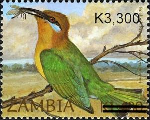 Colnect-2671-179-B%C3%B6hm-s-Bee-eater-Merops-boehmi.jpg