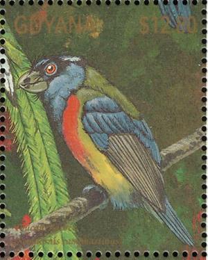 Colnect-3516-450-Toucan-Barbet-Semnornis-ramphastinus.jpg