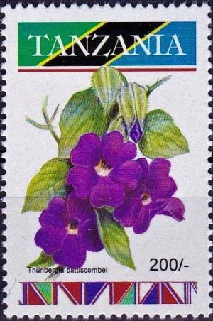 Colnect-4569-700-Thunbergia-battiscombei.jpg