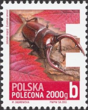 Colnect-4808-318-Stag-Beetle-Lucanus-cervus.jpg