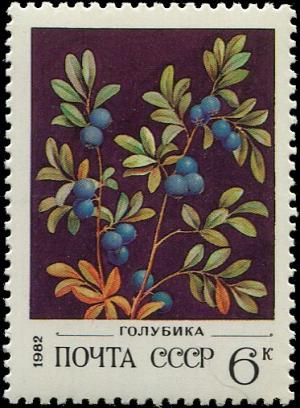 Colnect-4839-184-Northern-Bilberry---Vaccinium-uliginosum.jpg