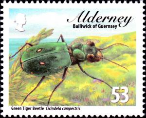 Colnect-5486-755-Green-Tiger-Beetle-Cicindela-campestris-.jpg