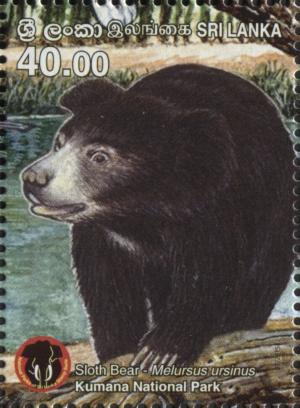 Colnect-5913-588-Sloth-Bear-Melursus-ursinus.jpg