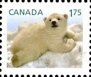 Colnect-770-882-Polar-Bear-Ursus-maritimus.jpg