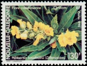 Colnect-854-581-Hibbertia-baudouinii.jpg