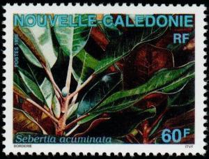 Colnect-855-379-Sebertia-acuminata.jpg