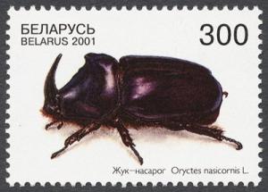 Colnect-857-580-Rhinoceros-Beetle-Oryctes-nasicornis.jpg