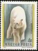 Colnect-584-886-Polar-Bear-Ursus-maritimus.jpg