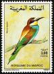 Colnect-1347-824-European-Bee-eater-Merops-apiaster.jpg