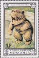 Colnect-895-689-Tibetan-blue-bear-Ursus-arctos-pruinosus.jpg