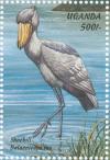 Colnect-1715-788-Shoebill-Balaeniceps-rex.jpg