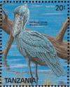 Colnect-1745-649-Shoebill-Balaeniceps-rex.jpg