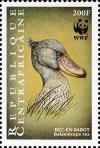 Colnect-4383-457-Shoebill-Balaeniceps-rex.jpg